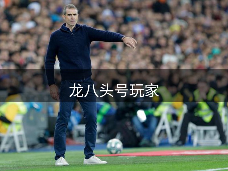 龙八头号玩家介绍